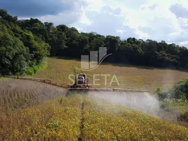 Imagem 10: EXCELENTE OPORTUNIDADE DE INVESTIMENTO Fazenda Produtiva com Localização Privilegiada