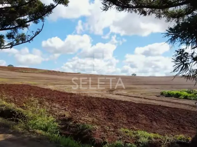 Imagem 4: EXCELENTE OPORTUNIDADE DE INVESTIMENTO Fazenda Produtiva com Localização Privilegiada