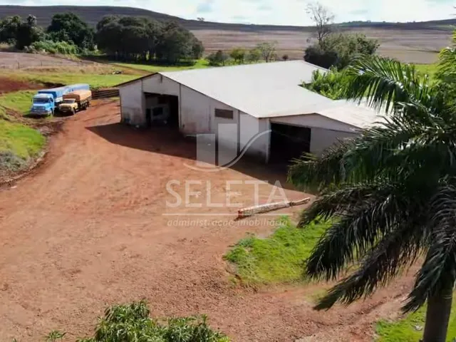 Imagem 14: EXCELENTE OPORTUNIDADE DE INVESTIMENTO Fazenda Produtiva com Localização Privilegiada