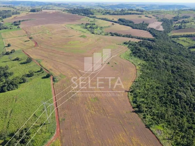 Imagem 7: EXCELENTE OPORTUNIDADE DE INVESTIMENTO Fazenda Produtiva com Localização Privilegiada