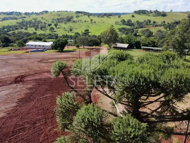 Imagem 9: EXCELENTE OPORTUNIDADE DE INVESTIMENTO Fazenda Produtiva com Localização Privilegiada