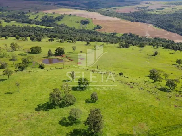 Imagem 2: EXCELENTE OPORTUNIDADE DE INVESTIMENTO Fazenda Produtiva com Localização Privilegiada