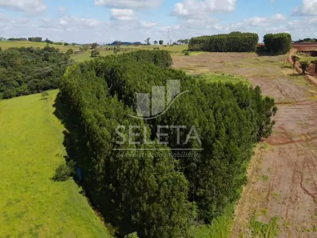 Imagem 5: EXCELENTE OPORTUNIDADE DE INVESTIMENTO Fazenda Produtiva com Localização Privilegiada