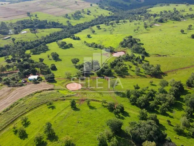 Imagem 6: EXCELENTE OPORTUNIDADE DE INVESTIMENTO Fazenda Produtiva com Localização Privilegiada
