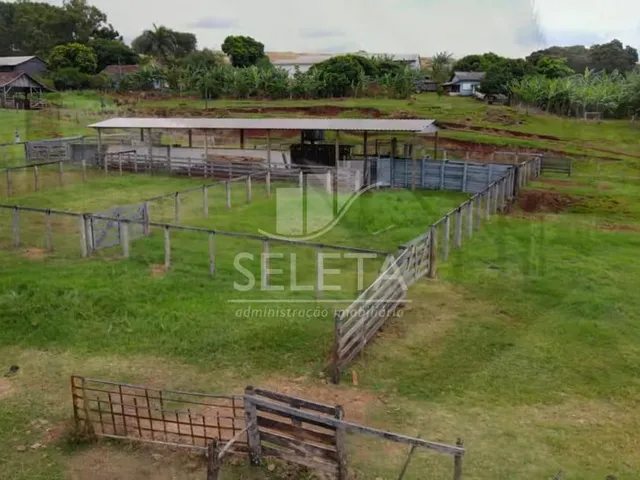 Imagem 8: EXCELENTE OPORTUNIDADE DE INVESTIMENTO Fazenda Produtiva com Localização Privilegiada