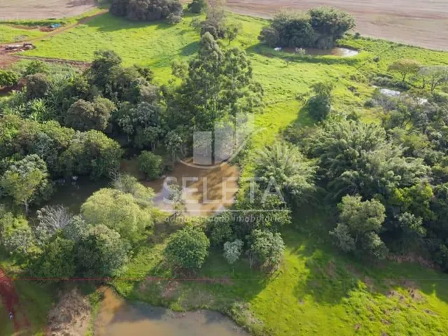 Imagem 11: EXCELENTE OPORTUNIDADE DE INVESTIMENTO Fazenda Produtiva com Localização Privilegiada