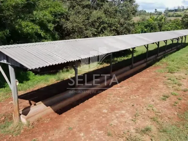 Imagem 12: EXCELENTE OPORTUNIDADE DE INVESTIMENTO Fazenda Produtiva com Localização Privilegiada