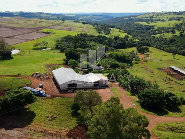 Imagem 15: EXCELENTE OPORTUNIDADE DE INVESTIMENTO Fazenda Produtiva com Localização Privilegiada
