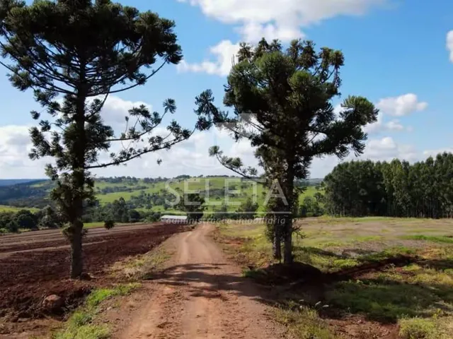 Imagem 16: EXCELENTE OPORTUNIDADE DE INVESTIMENTO Fazenda Produtiva com Localização Privilegiada
