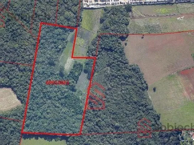 Imagem 8: 0 Terreno / lote com venda por R$48.000.000