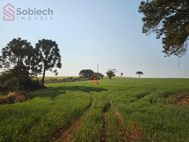 Imagem 3: 0 Chácara com venda por R$1.150.000