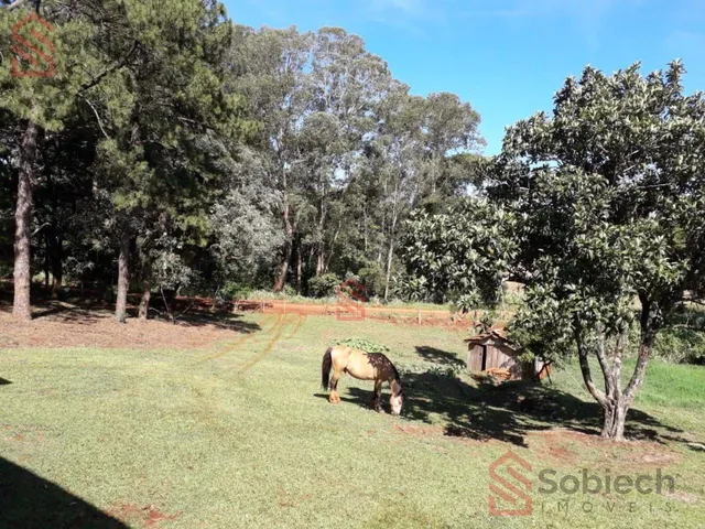 Imagem 11: 0 Chácara com venda por R$1.150.000