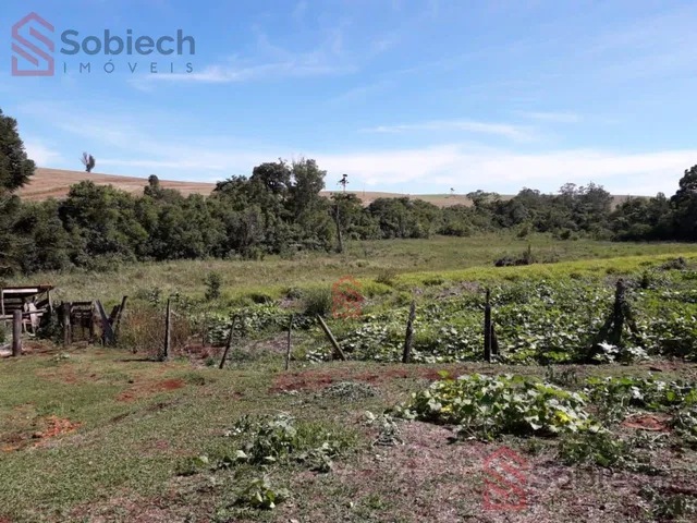 Imagem 5: 0 Chácara com venda por R$1.150.000