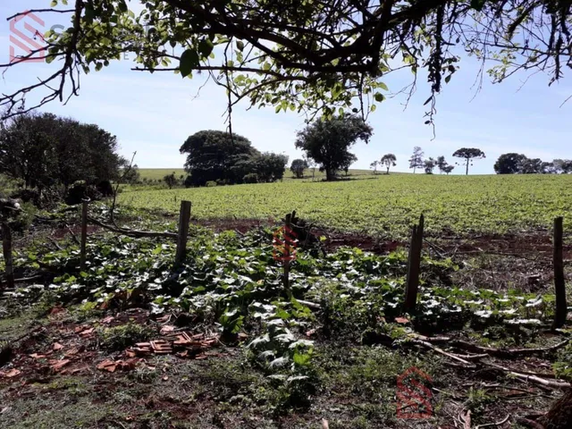 Imagem 2: 0 Chácara com venda por R$1.150.000