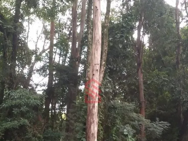 Imagem 6: 0 Chácara com venda por R$1.150.000