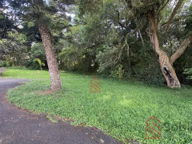 Imagem 7: 0 Apartamento com 2 dormitórios