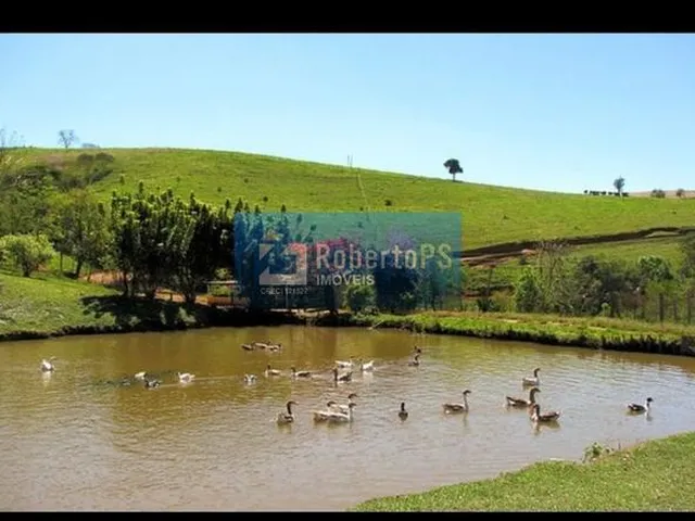 Imagem 3: 0 Fazenda / sítio com 5 dormitórios