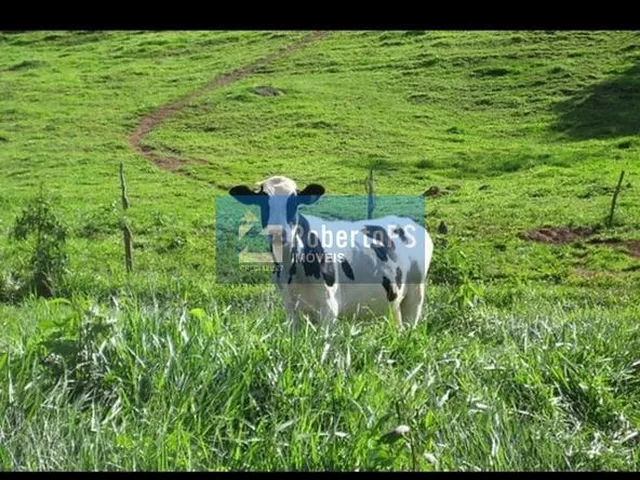 Imagem 4: 0 Fazenda / sítio com 5 dormitórios