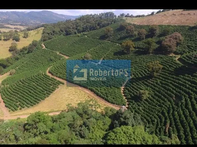 Imagem 6: 0 Fazenda / sítio com 5 dormitórios
