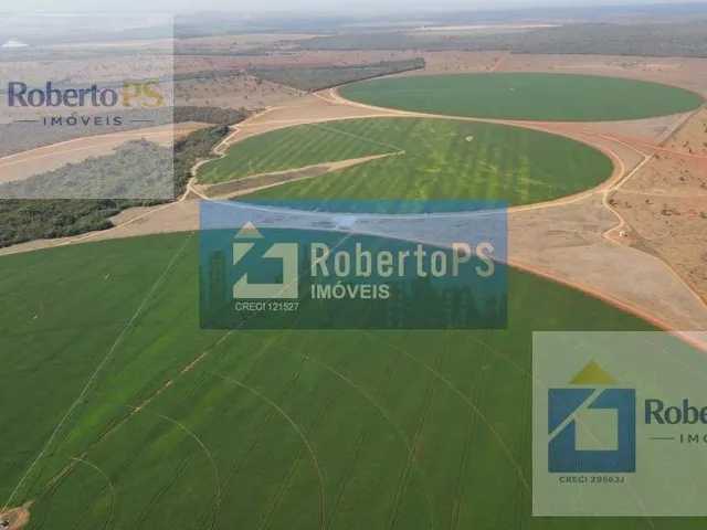 Imagem 3: Senhores(a) Propriedade impecável e produtiva, completamente legalizada. Uma propriedade