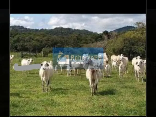Imagem 6: 0 Fazenda / sítio com 4 dormitórios