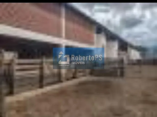 Imagem 16: 0 Fazenda / sítio com 4 dormitórios