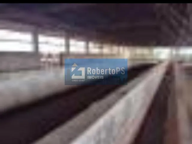 Imagem 9: 0 Fazenda / sítio com 4 dormitórios