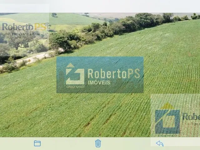 Imagem 9: 0 Fazenda / sítio com 4 dormitórios
