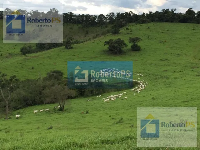 Imagem 5: 0 Fazenda / sítio com 4 dormitórios
