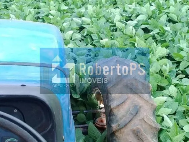 Imagem 7: 0 Fazenda / sítio com 4 dormitórios