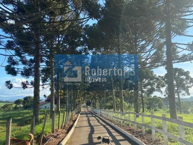 Imagem 14: 0 Fazenda / sítio com 4 dormitórios