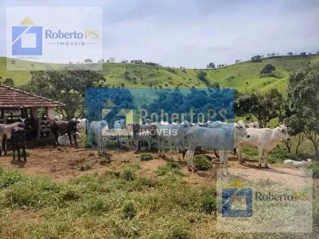 Imagem 7: 0 Fazenda / sítio com 4 dormitórios