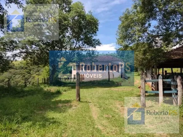 Imagem 4: 0 Fazenda / sítio com 4 dormitórios