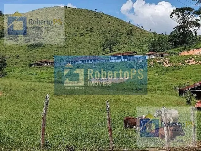 Imagem 10: 0 Fazenda / sítio com 4 dormitórios