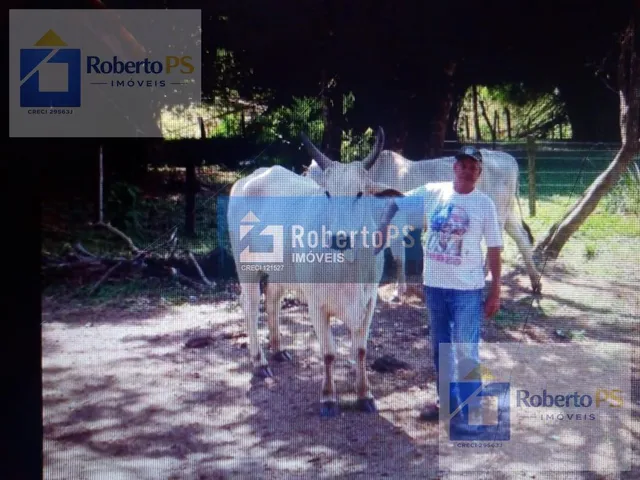 Imagem 14: 0 Fazenda / sítio com 4 dormitórios