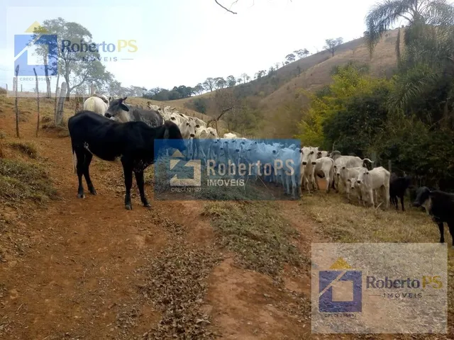 Imagem 6: 0 Fazenda / sítio com 4 dormitórios