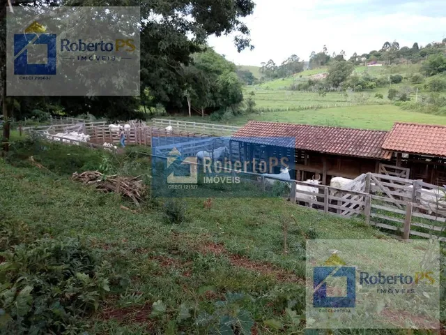 Imagem 12: 0 Fazenda / sítio com 4 dormitórios