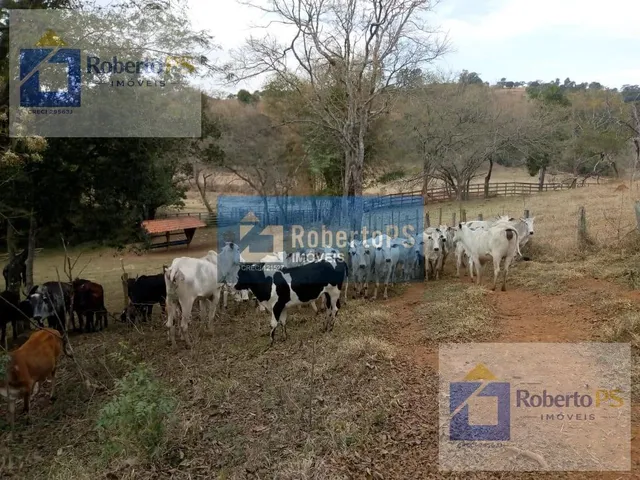 Imagem 7: 0 Fazenda / sítio com 4 dormitórios