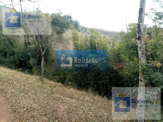 Imagem 8: 0 Fazenda / sítio com 4 dormitórios