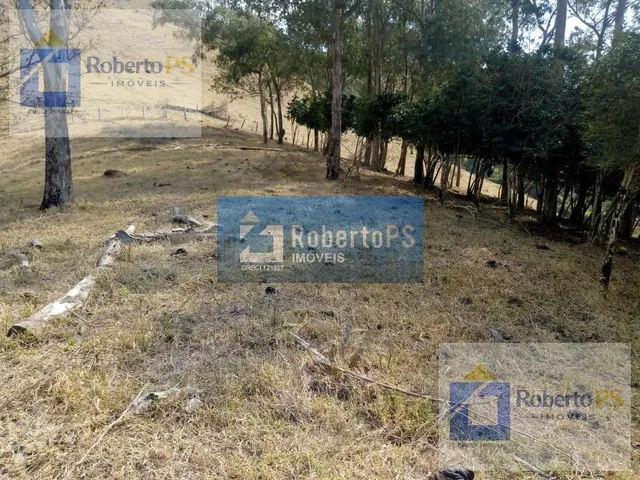 Imagem 15: 0 Fazenda / sítio com 4 dormitórios