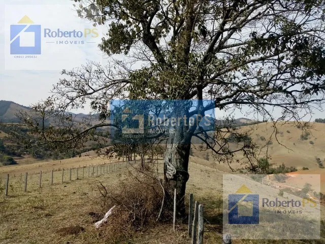 Imagem 2: 0 Fazenda / sítio com 4 dormitórios