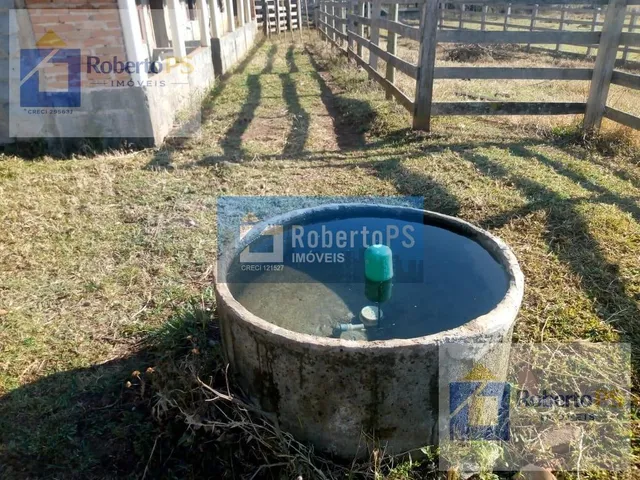 Imagem 11: 0 Fazenda / sítio com 4 dormitórios