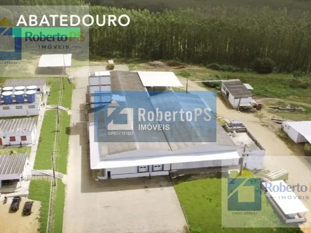 Imagem: OPORTUNIDADE DE INVESTIMENTO Complexo Agroindustrial