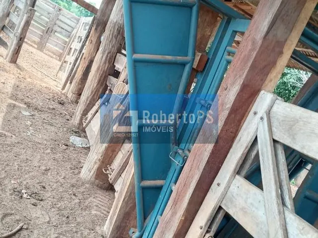 Imagem 9: 0 Fazenda / sítio com 3 dormitórios