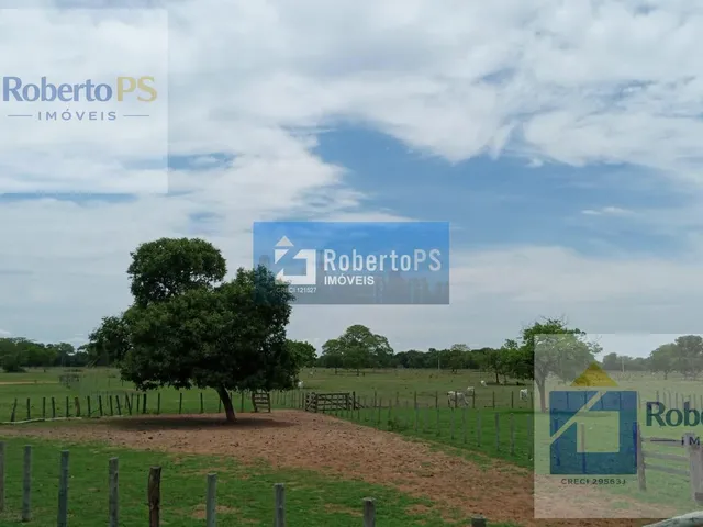 Imagem 3: 0 Fazenda / sítio com 3 dormitórios
