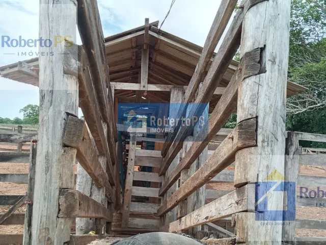 Imagem 10: 0 Fazenda / sítio com 3 dormitórios
