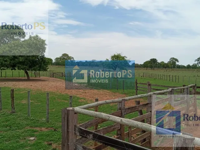 Imagem 11: 0 Fazenda / sítio com 3 dormitórios