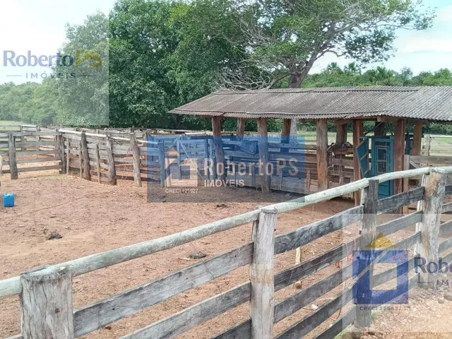 Imagem 5: 0 Fazenda / sítio com 3 dormitórios