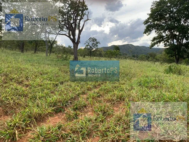 Imagem: Fazenda a venda na região de Paracatu -MG