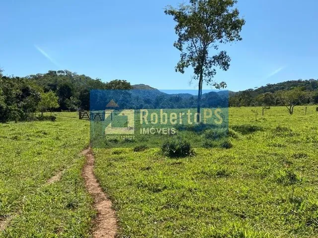 Imagem 9: Fazenda a venda na região de Paracatu -MG. A fazenda possui 212.1770 hectares (44